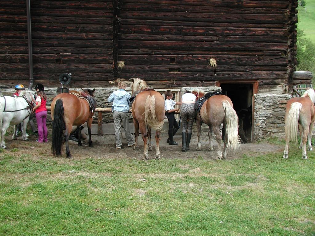 Familienparadies Wolfgangbauer Heiligenblut am Großglockner Exterior foto