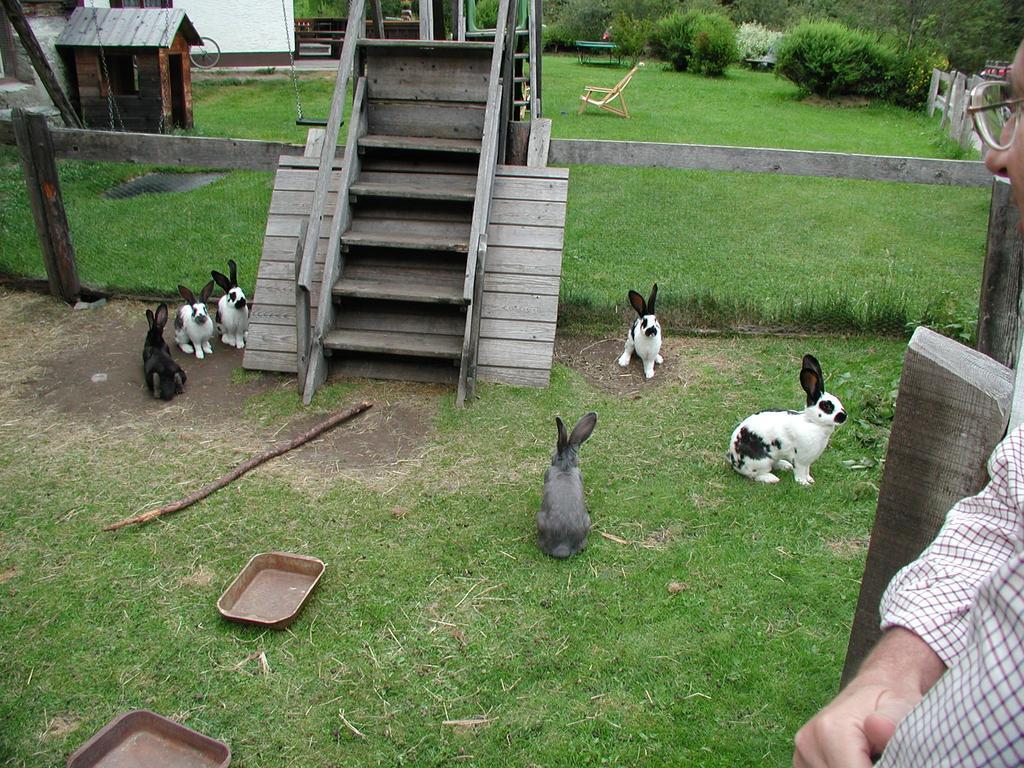 Familienparadies Wolfgangbauer Heiligenblut am Großglockner Exterior foto